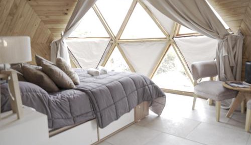 One-bedroom Loft Apartment 