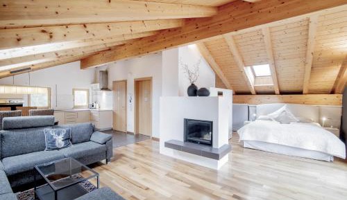 Studio Apartment with King Bed