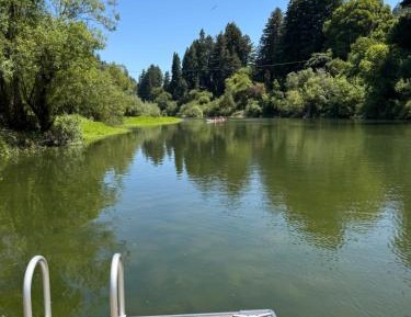 One-Bedroom Family Apartment