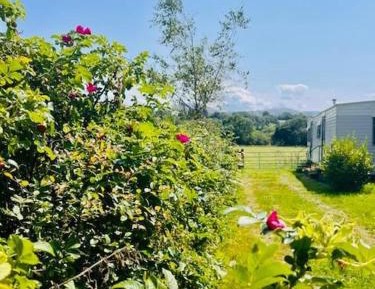 Three-Bedroom Chalet