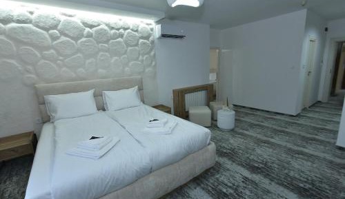 Deluxe One-Bedroom Apartment