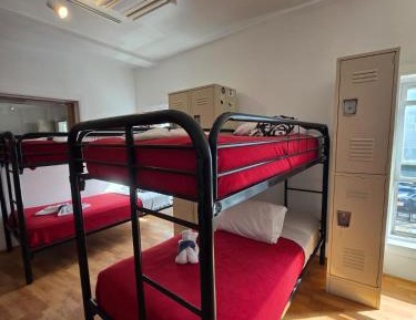 Bed in 8-Bed Dormitory Room