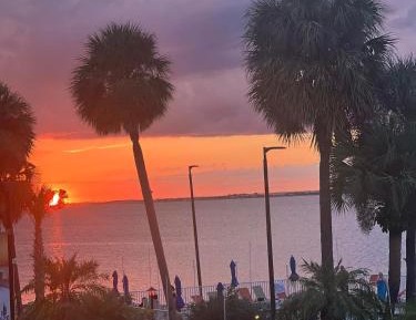 Apartment with Pool View 