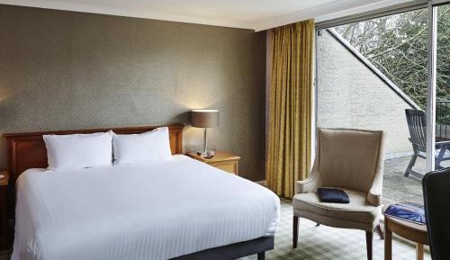 Junior King Suite with Patio or Balcony