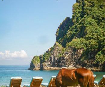 Bungalow with Beach View 