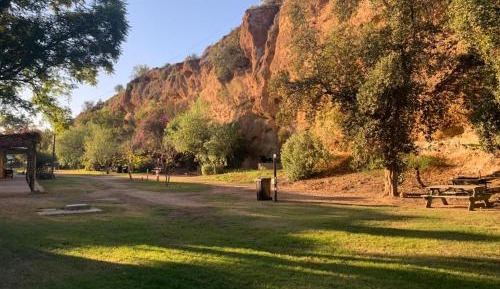 Family Room with Garden View