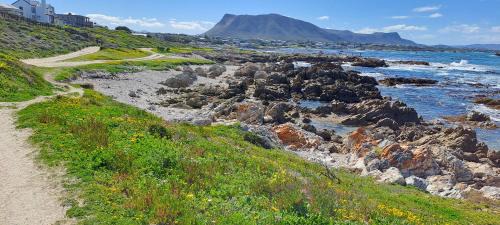 Deluxe One-Bedroom Apartment with Garden View