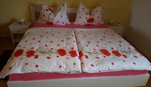 Twin Room with Mountain View