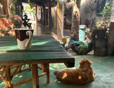 Double Room with Garden View