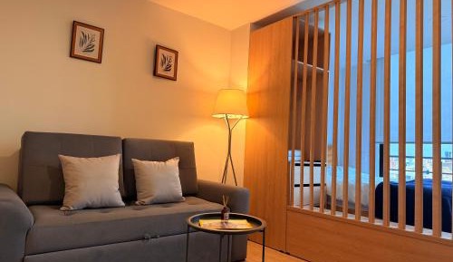 Deluxe One-Bedroom Apartment with City View