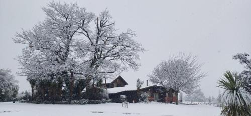 Three-Bedroom Chalet