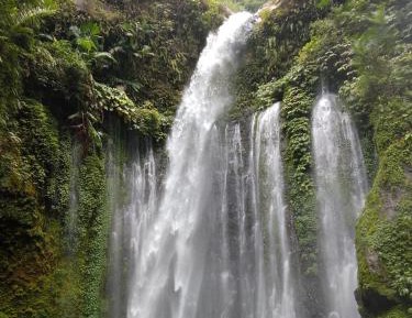 One-Bedroom Bungalow