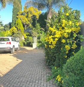 Studio Apartment with King Bed