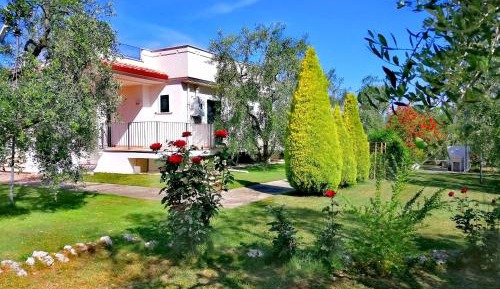 One-Bedroom House with Terrace