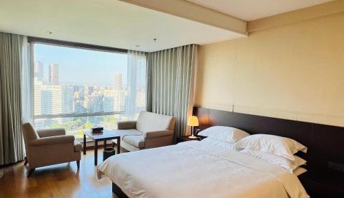 Deluxe One-Bedroom Apartment with City View
