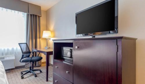 Standard Double Room with Two Double Beds - Non Smoking