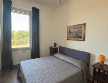 Classic Apartment