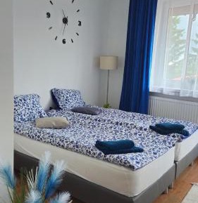Double or Twin Room with Private Bathroom