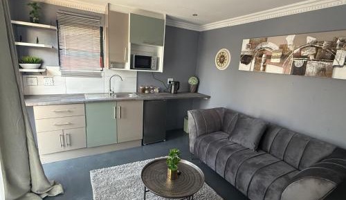 One-Bedroom Premier Apartment