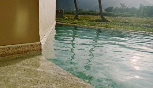 Queen Room with Pool View