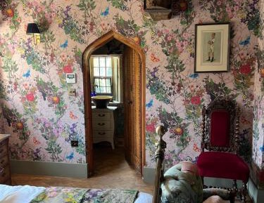 King Room with Garden View
