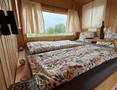 Mobile Home