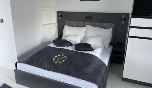 Superior One-Bedroom Apartment