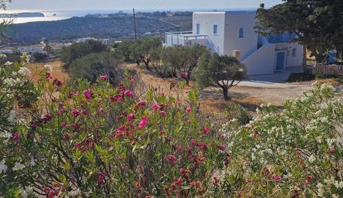 Deluxe One-Bedroom Apartment with Garden View