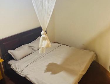 Large Single Room