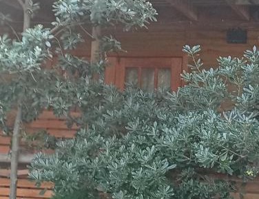 Studio 3 (1-4 People)