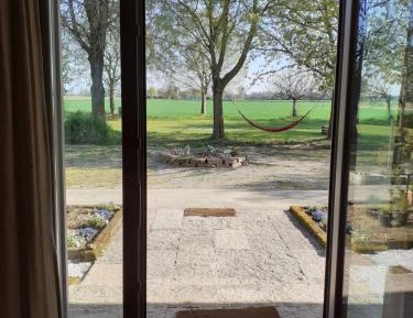 King Room with Garden View