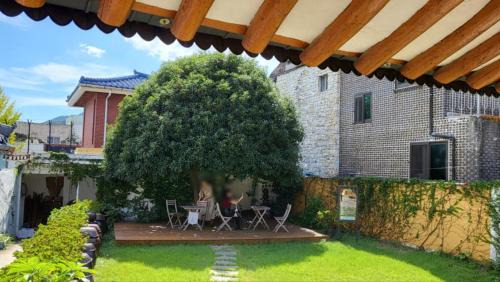 Studio with Garden View