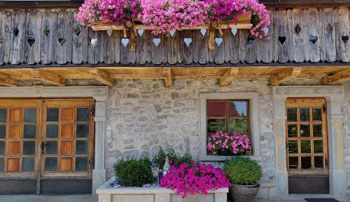 Apartment with Garden View