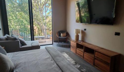 One-bedroom Loft Apartment 