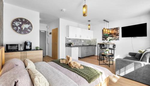 Studio Apartment with Balcony