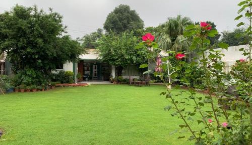 Family Room with Garden View
