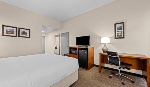 King Suite with Sofa Bed - Non-Smoking