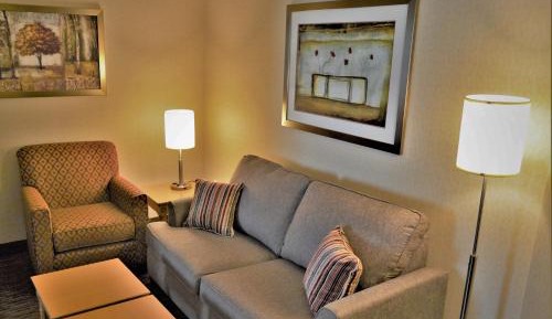 1 King Bed, 1-Bedroom, Mobility Accessible Suite, Roll-In Shower, Non-Smoking