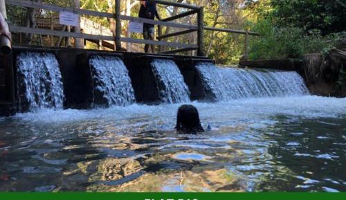 Apartment with Mountain View