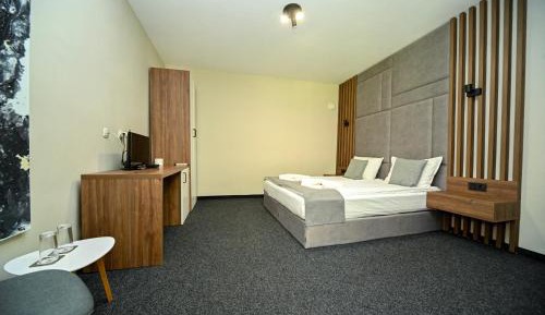 Double or Twin Room with Mountain View