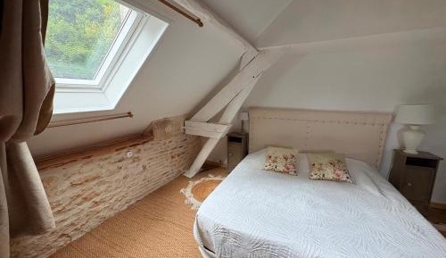 King Room with Garden View