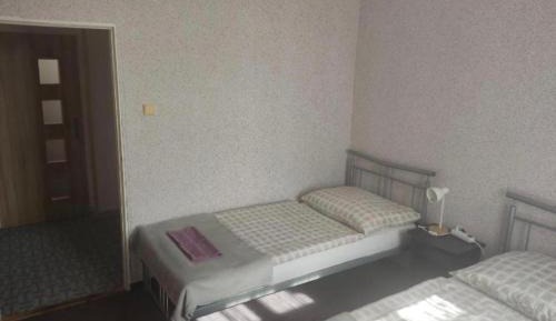 Bed in 4-Bed Mixed Dormitory Room