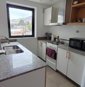 One-Bedroom Family Apartment