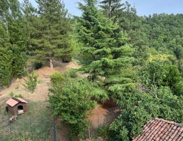 Double or Twin Room with Garden View