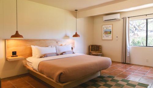 Standard Room - King