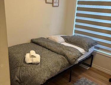 Single Room with Shared Bathroom