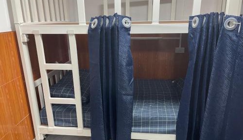 Bed in 6-Bed Mixed Dormitory Room