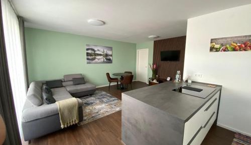 One-Bedroom Apartment with Shower