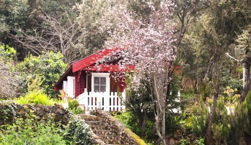 One-Bedroom House with Barbecue