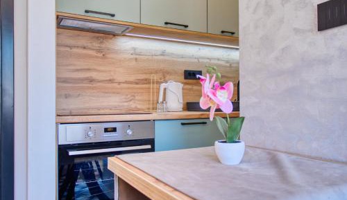 Deluxe One-Bedroom Apartment